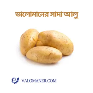 ভালোমানের সাদা আলু - Valomaner White Potato